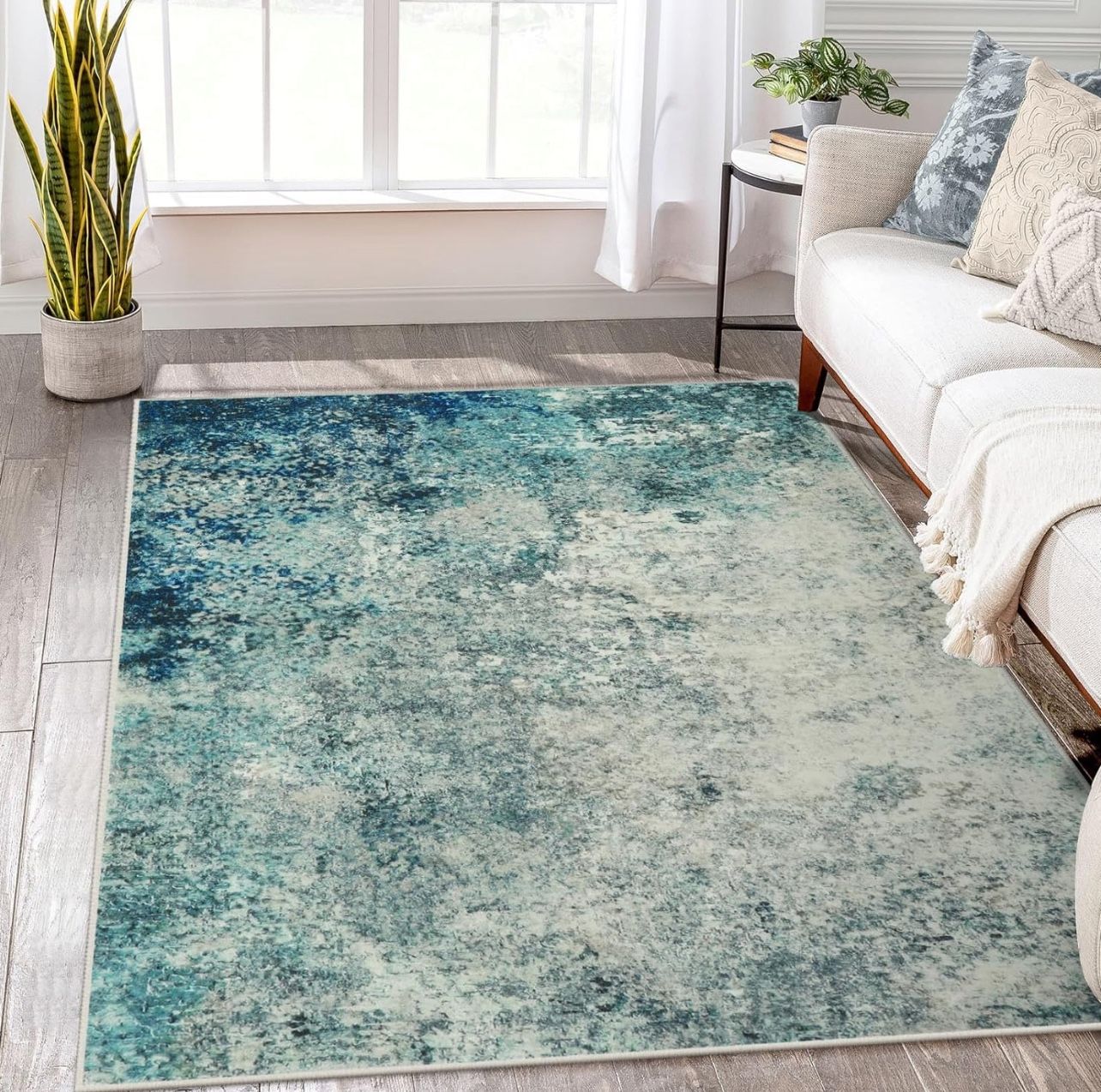 8x10 Area Rug