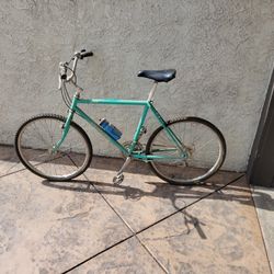 Trail Bike