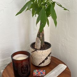 Ceramic Pot