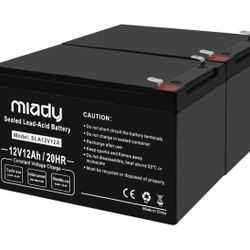 2 - Batteries 12v / 12Ah  Rechargeable 