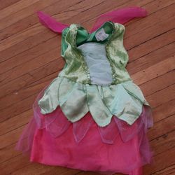 Fairy Costume Halloween Toddler 2t-4t