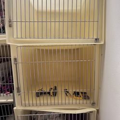 Kennels - Vet Or Shelter Kennels