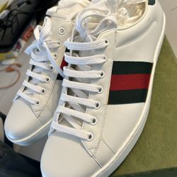 Gucci Shoes 