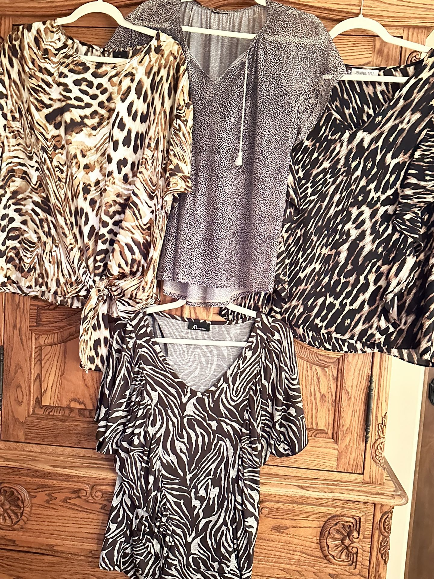 Set of 4 Women’s Blouses