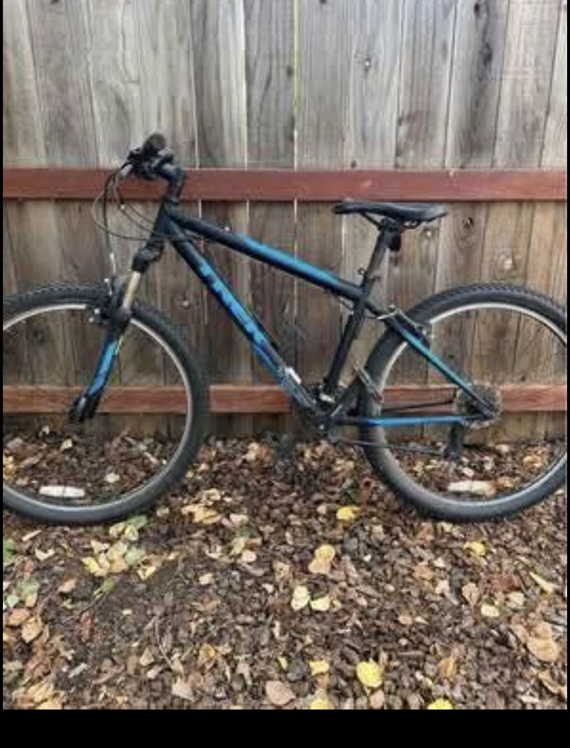 Trek Mountain Bike