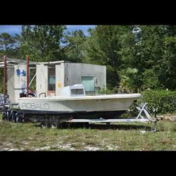 ROBALO HULL WITH TITLE AND TRAILER WITH REGISTRATION. FEEL FREE TO ASK