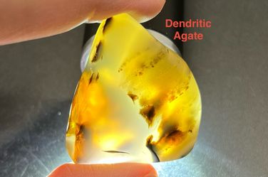Dendritic Agate Polished Stone from USA 22.5g