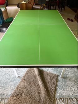 Ping Pong Table