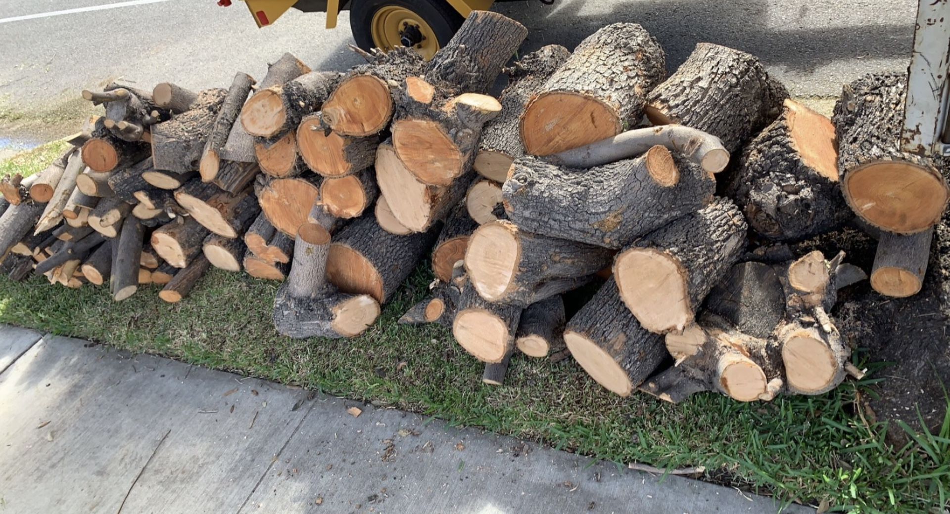 Free Wood !! Free Fire Wood !!!