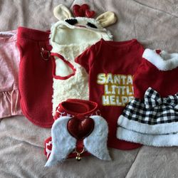 Small Pet Clothes
