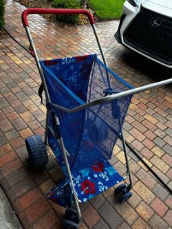 Beach Buggy