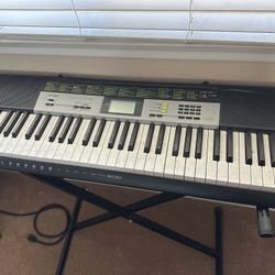 Casio LK-135 Lighted Keyboard 
