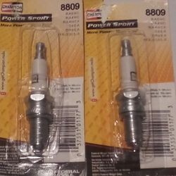 Two Champion Spark Plugs