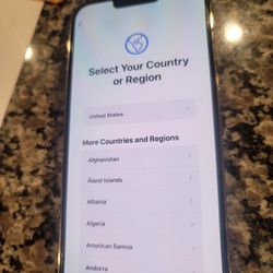 Unlocked 13 Pro Max 256gb