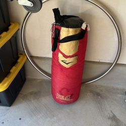 Punching Bag