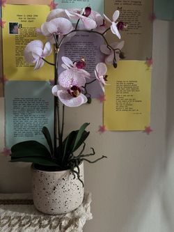 Artificial Phalaenopsis Orchid in Speckled Pot