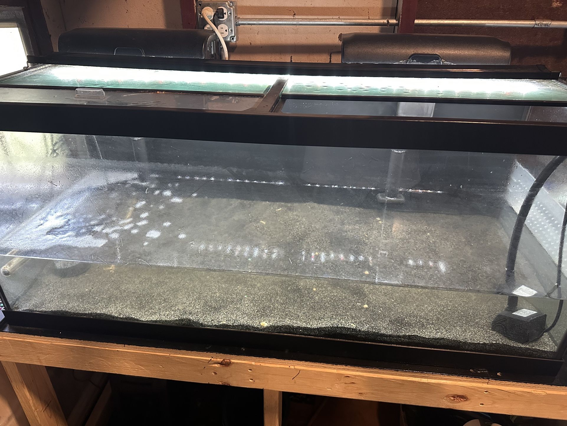 75gallon Tank +Extras