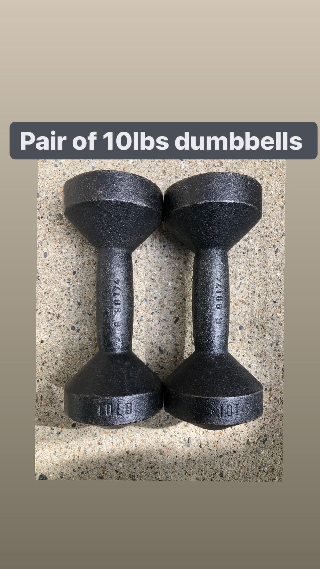 10 lbs dumbbells (pair of two dumbells)