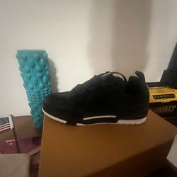 Louis vuttion LV skater sneakers