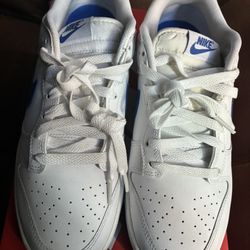 Nike Dunks Royal Blue 