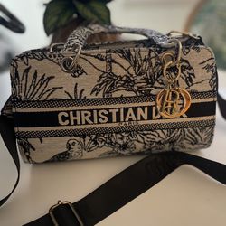 Faux Christian dior Cross Bag Or Handbag