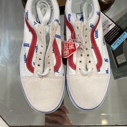 Vans Skater Shoes