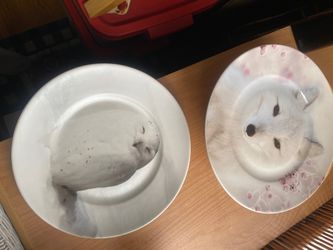 Plates