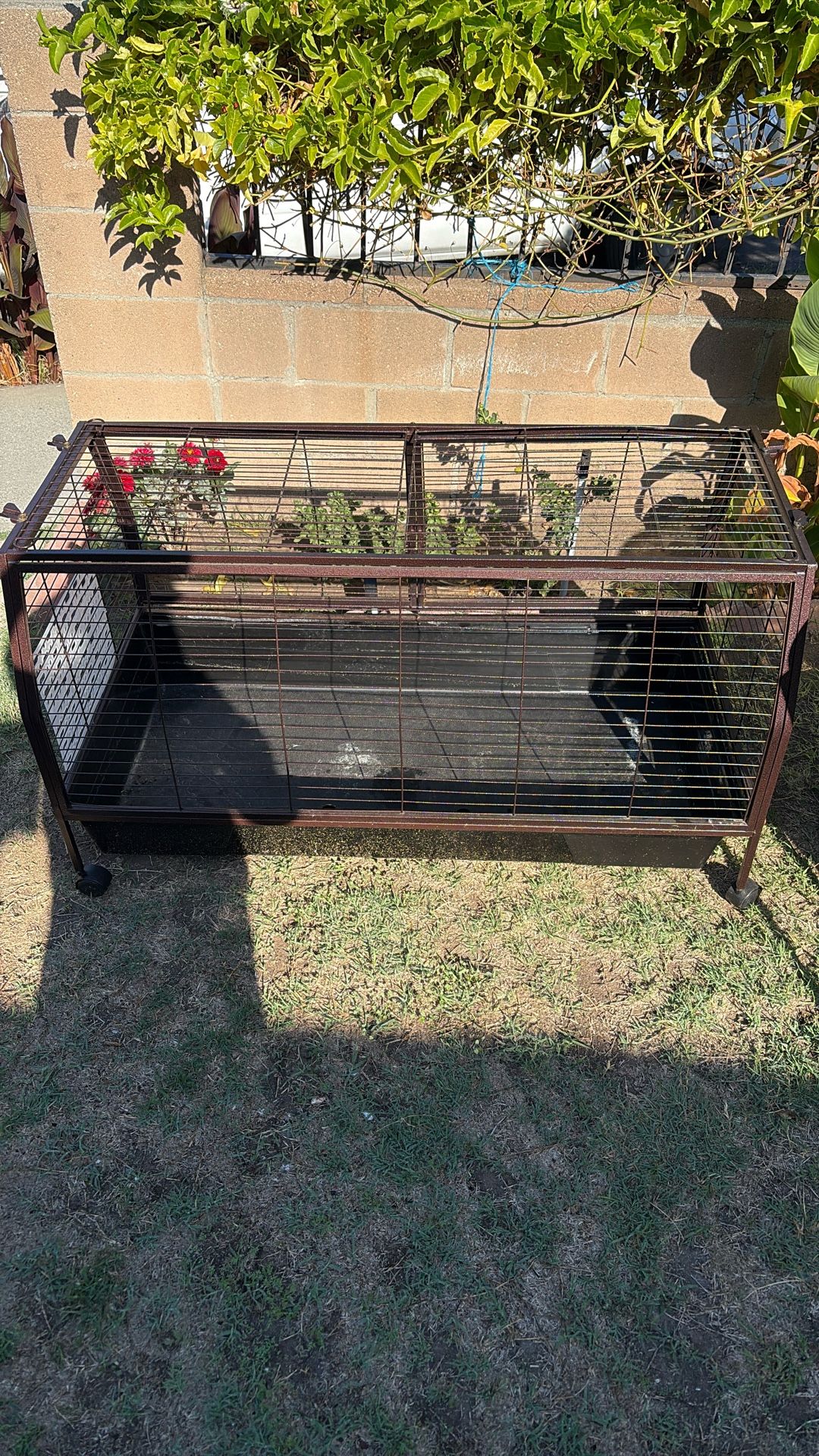 Pet Cage Dog, Cat, Bunny, Etc