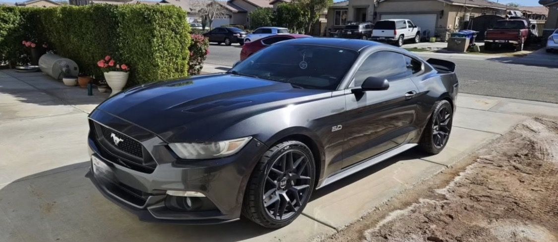 MUSTANG
