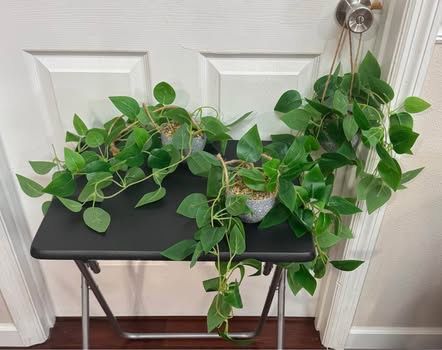 Three Small Hanging Artificial Plant $7 for All