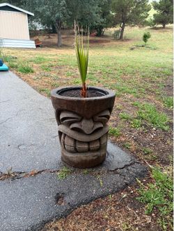 Large wooden tiki pot with palm tree