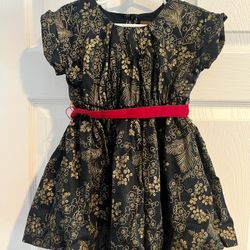 Tea Collection Party Dress. EUC. 3T.