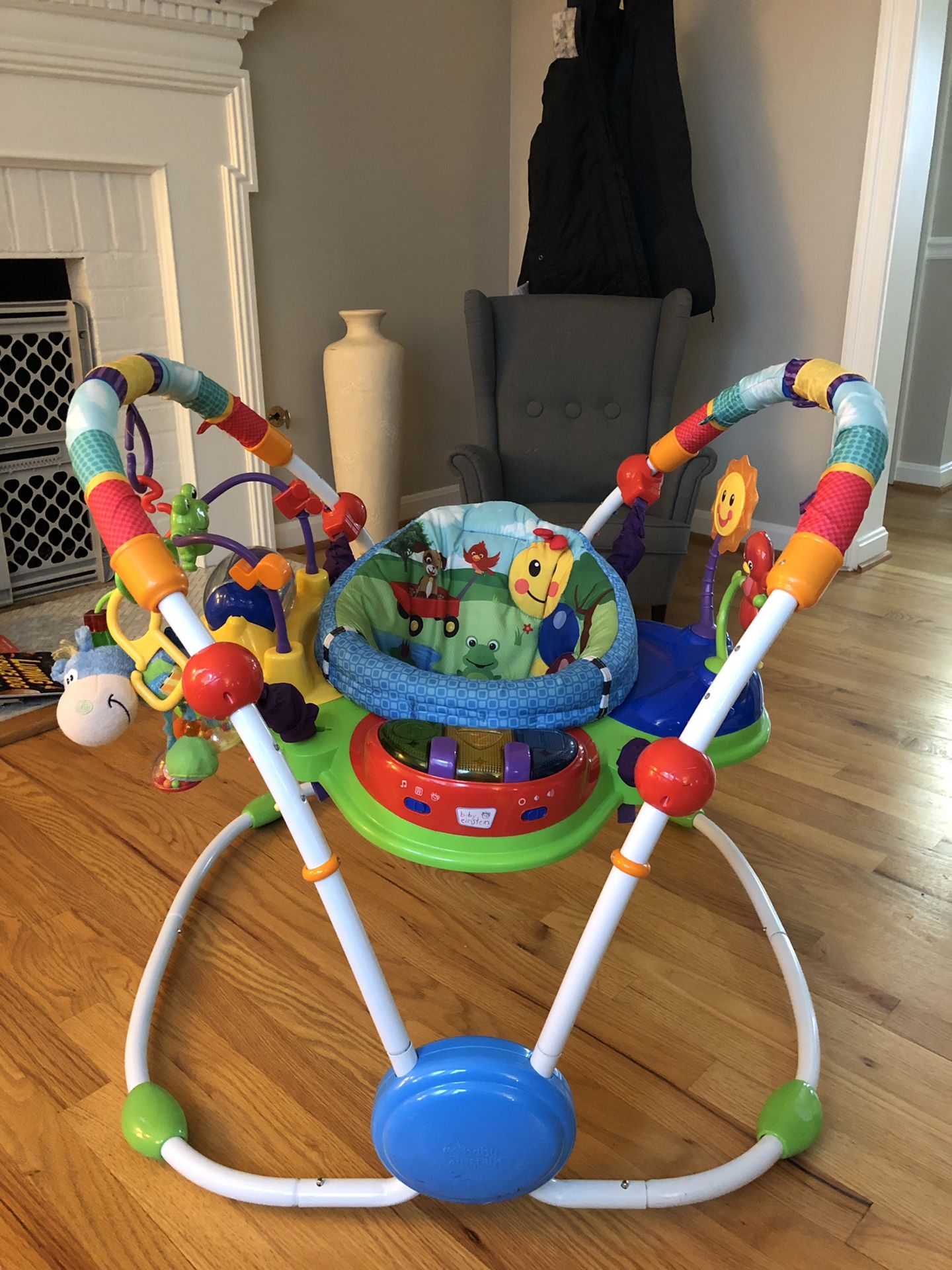 Baby Einstein Jumper