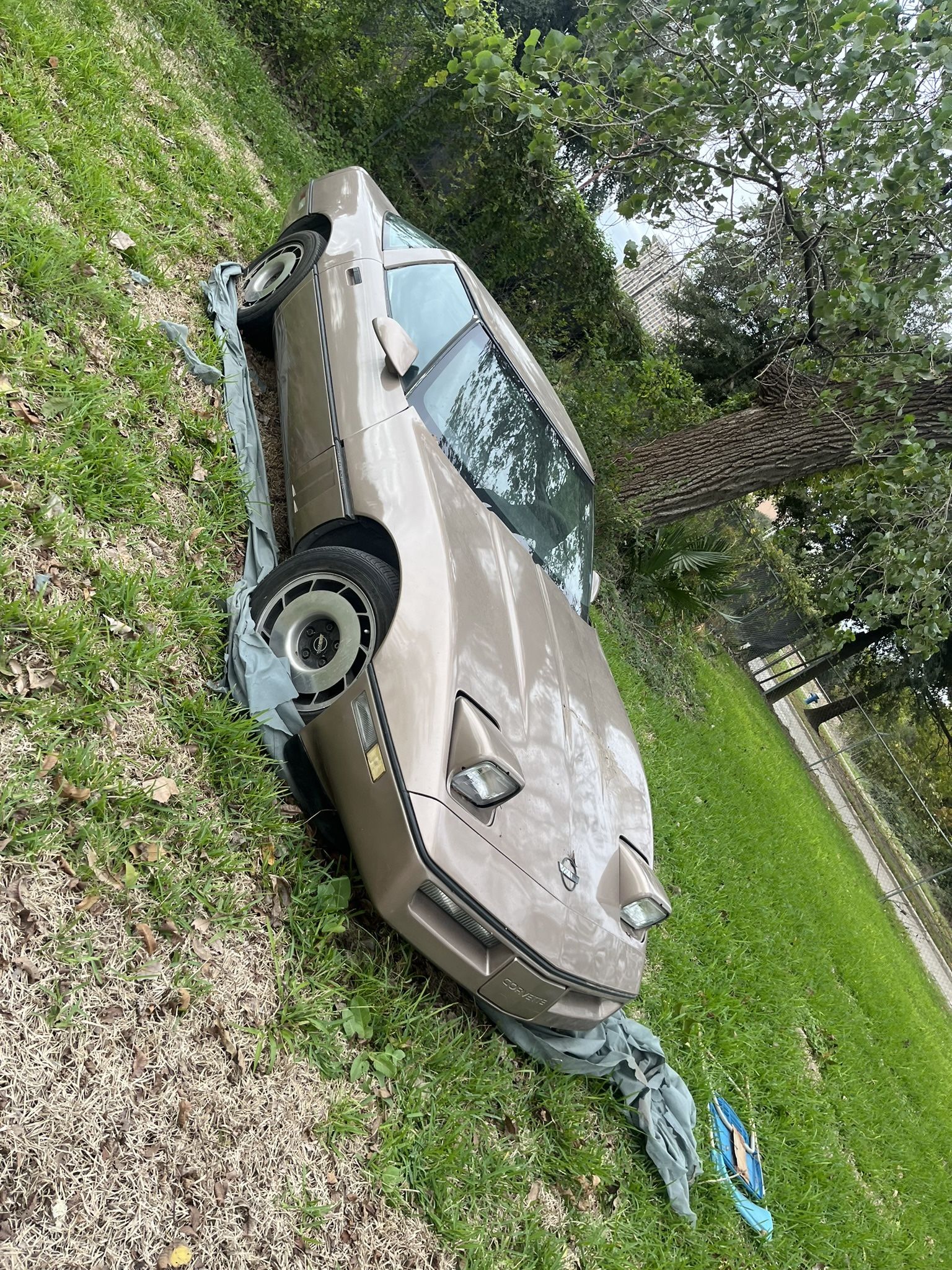 1984 Chevrolet Corvette