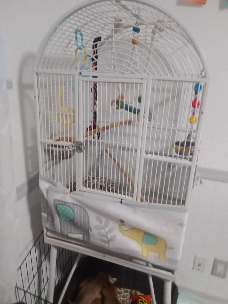 Bird Cages An Play Stand