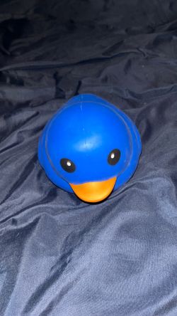 Sunny days blue squshie  duck