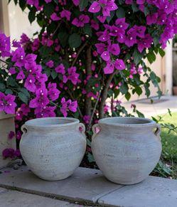 Garden Decorations