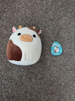 Ronnie Squishmallow