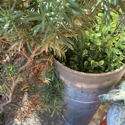 Faux Boxwood decor plant in metal planter 