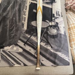 Easton Ghost X Baseball Bat 32in