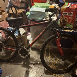 Magna ‘Silver Canyon’ Mountain bike for adults