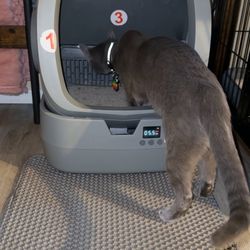 Automatic Litter Box