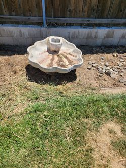 36 In across X 16 In High Shell Shaped Bird Bath 