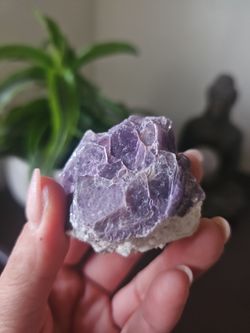 Raw Amethyst Crystal Cluster