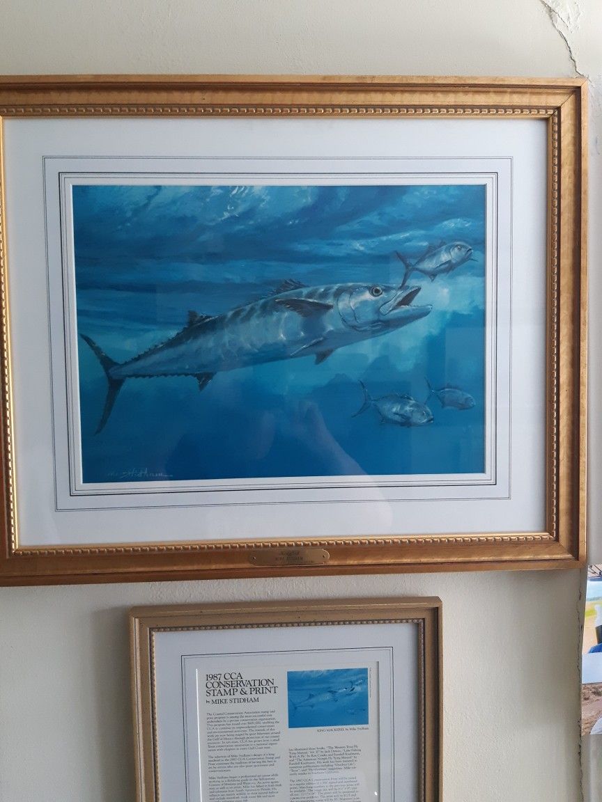 Kingfish Original Oil by Mike Stidham