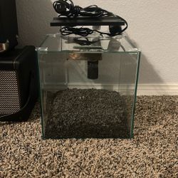 Shrimp/ Betta 3 Gallon Tank