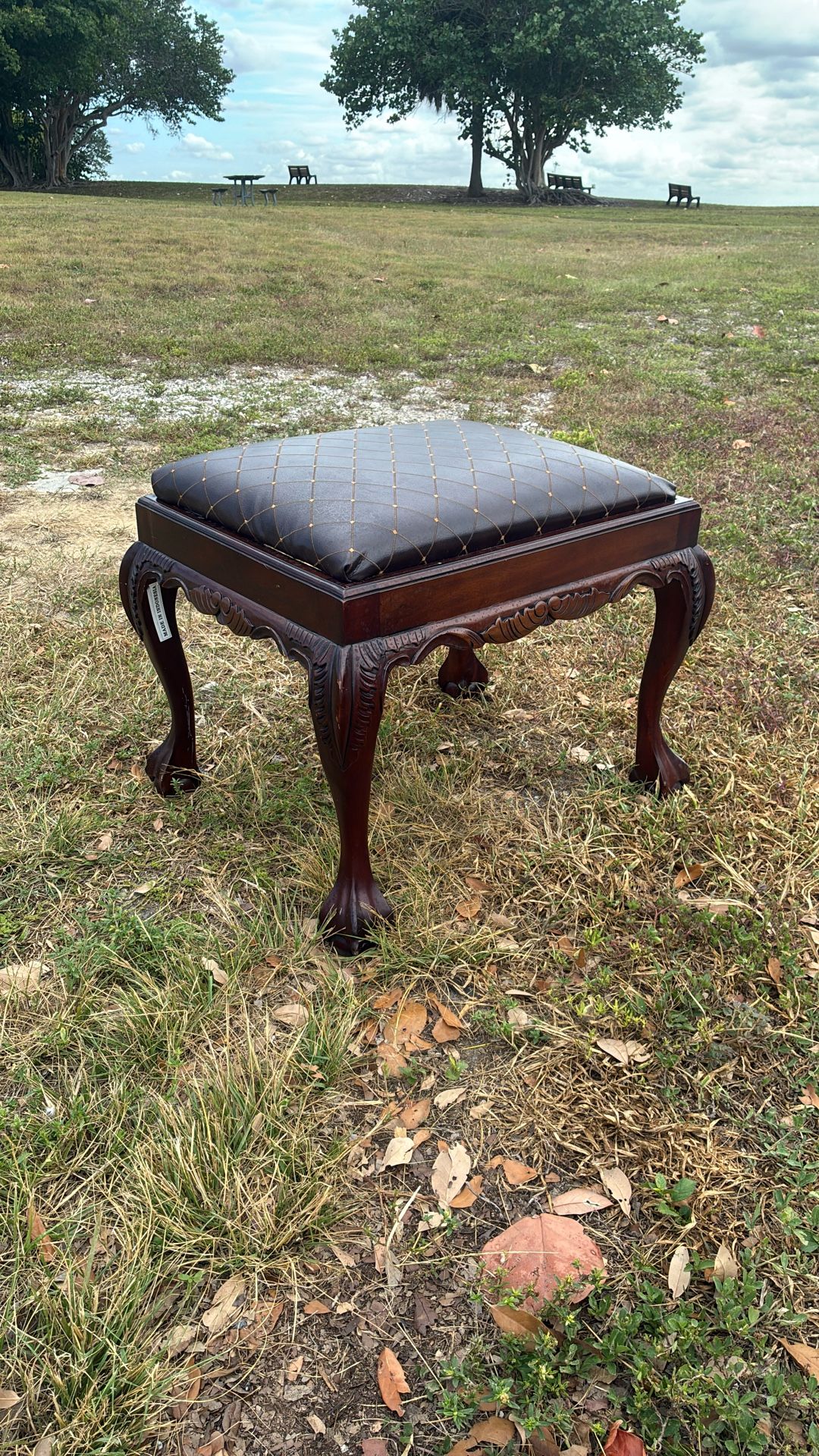 Hand carved Photography Bench Office