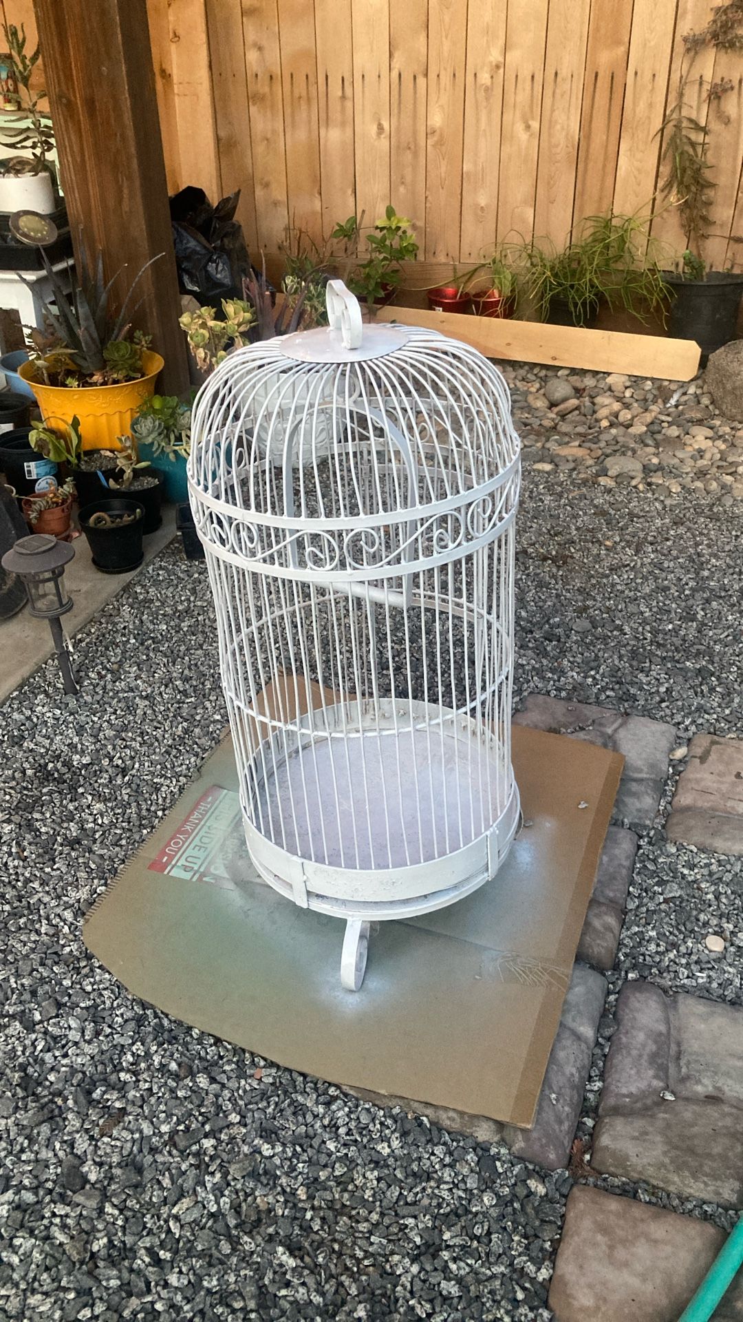 Birdcage