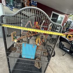 Bird Cage