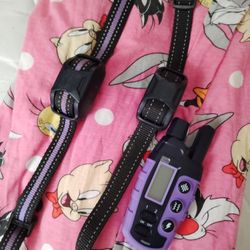 Dog  Collar